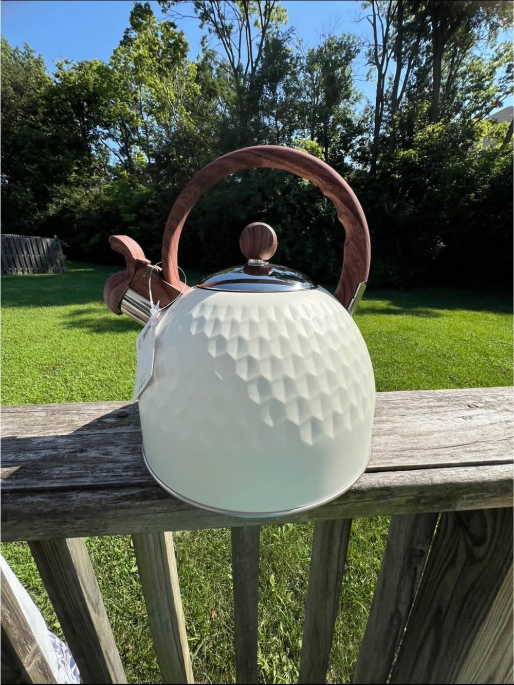 Cream Textured Dome Whistling Kettle with Teak-Look Handle